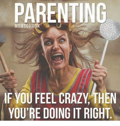 Parenting Momsgoti You Feel Crazy Then Youre Doing It Right 5109040